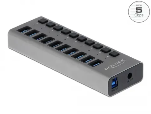 Delock Externí SuperSpeed USB Hub šedá / 10 portů (63670)