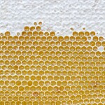 Včelařství Domovina Višně medu Hmotnost: