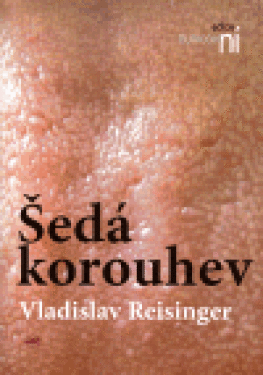 Šedá korouhev Vladislav Reisinger