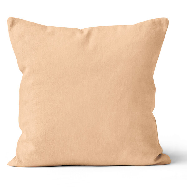 Mikroplyšový povlak na polštář 40x40 cm Béžový