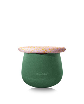 Stapelstein Spring Special Dynamic small water lily, 2 ks