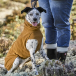 Obleček Hurtta Warming Midlayer ECO písková Velikost: 45