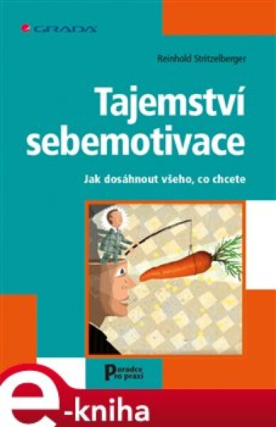 Tajemství sebemotivace. Jak dosáhnout všeho, co chcete - Reinhold Stritzelberger e-kniha