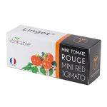 Véritable LINGOT SE SEMENY CHERRY RAJČAT PRO CHYTRÉ KVĚTINÁČE