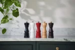 ColeMason London Mlýnek na sůl - černá lesklá / výška 18 cm / bukové dřevo / keramický mechanismus (H233096)