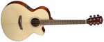 Cort SFX1F NS