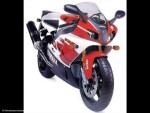 Yamaha Yzf R7 Owo 2 Plexi Standard