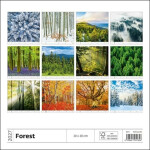 Kalendář nástěnný 2027 - Forest/Wald/Les