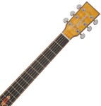 Tanglewood TWX6CE SMF