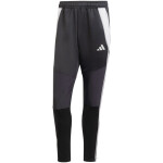 Kalhoty adidas Tiro 24 WInterized M IM9974 m