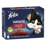 Felix Fantastic masový výběr 12 x 85 g