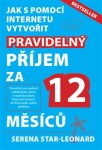 Pravidelný příjem za 12 měsíců