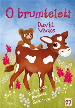 O brumteleti - David Vacke