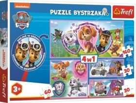 Puzzle s hledáním rozdílů Tlapková patrola 4v1