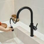 REA - Kuchyňská baterie Fresh vysoká Black REA-B7200