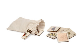 Mini frotážová súprava - Hmyz SK