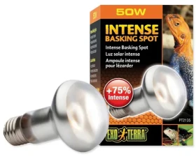 EXO TERRA Žárovka Intense Basking Spot / 50W / UVA záření / do terária (107-PT2135)