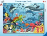 Ravensburger Pod mořskou hladinou