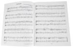 MS Classic Hits for Violin and Viola