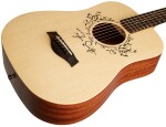 Taylor TS-BT