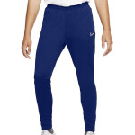 Pánské kalhoty Dri-FIT Academy AJ9729 455 Nike