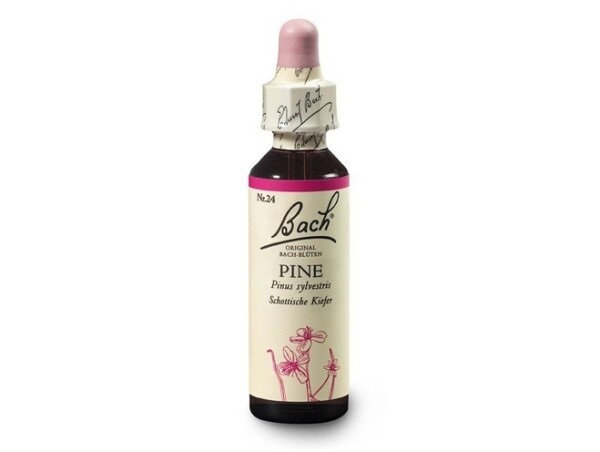 Borovice lesní (Pine) 20 ml - Bachovy esence Dr.Bach