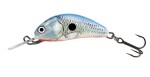 Salmo Wobler Hornet Floating 3,5cm - Silver Blue Shad,Salmo Wobler Hornet Floating 3,5cm - Silver Blue Shad