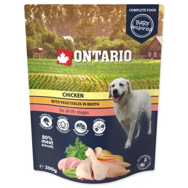 Ontario Kapsička kuře se zeleninou ve vývaru 300g (214-3333)