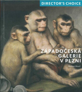 Director´s choice Západočeská galerie Plzni Roman Musil