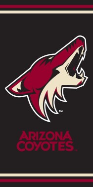 TipTrade Plážová osuška Arizona Coyotes NHL