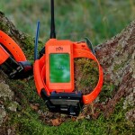 Obojek pro dalšího psa DOG GPS X25TB- oranžová