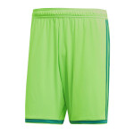 Pánské kraťasy Regista 18 Short CF9598 Adidas