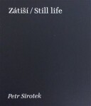 Zátiší / Still Life - Petr Sirotek