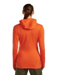 Dámská merino mikina ICEBREAKER Wmns 260 Quantum IV LS Zip Hoodie, Fervid velikost: XS