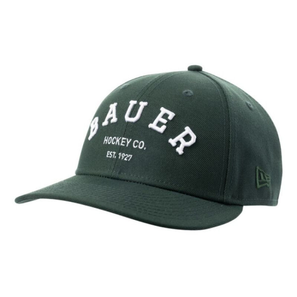 Kšiltovka Bauer NE Low Profile 9Fifty Sr 1063844 zelená