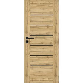 Interiérové dveře Campe 6*6 60P dub wotan 385 černá lacobel