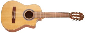 Ortega RQ39