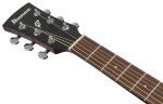 Ibanez PJ50E Vintage Amber Sunburst