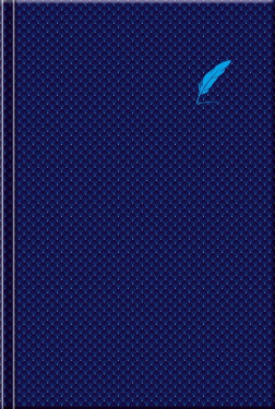 Notes Elegant Blue