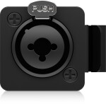 Behringer P2