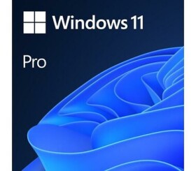 Microsoft (OEM) MS Windows 11 Professional 64bit English 1pk DVD OEM