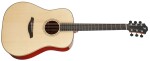 Furch Yellow Plus D-SP CNR Active