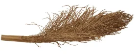 Lucky Reptile Palm Torch 30-40 cm (FP-64071)