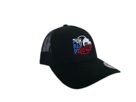 Fanda-NHL.cz Pánská Kšiltovka Puk Pak Pivo Truckerka s logem v designu vlajky