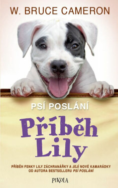 Příběh Lily - Bruce Cameron