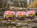 Carp Inferno Balanced Boilie Xtazi 200ml - 20mm,Carp Inferno Balanced Boilie Xtazi 200ml - 20mm