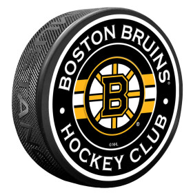 Mustang Puk Boston Bruins NHL Stripe Design