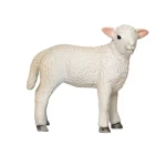 Mojo Jehňátko romney marsh stojící