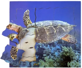 Just Jigsaws 605 Želva a její životní cyklus - dřevěné vrstvené puzzle