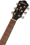 Ibanez AEG50 Black